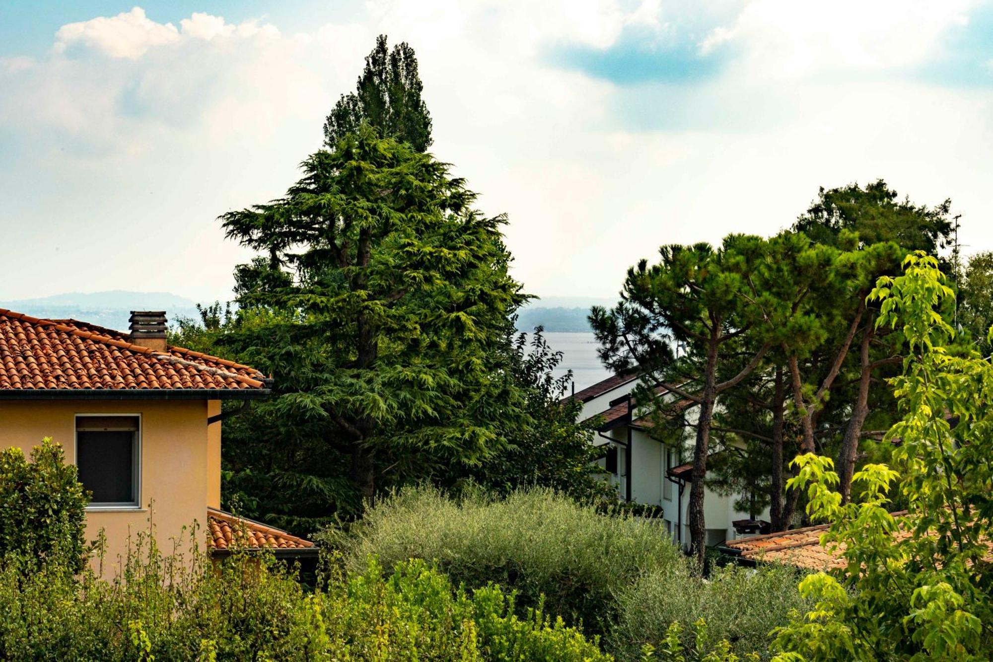 Casa Di Loni Apartment